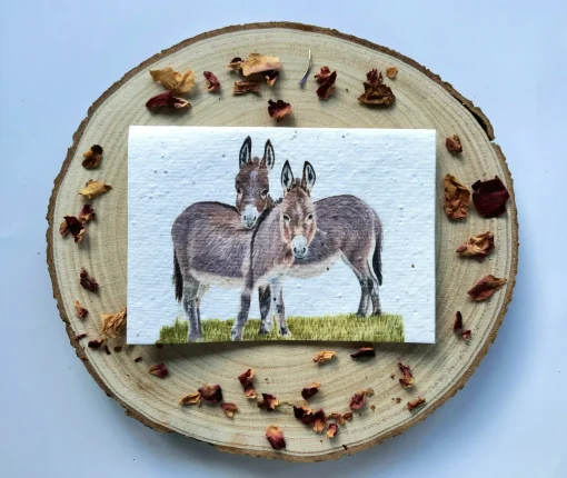 Plantable Wildflower Card - Donkey Duo