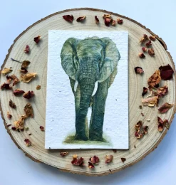 Plantable Wildflower Card - African Elephant
