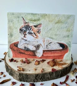 Plantable Wildflower Card - Cosy Cat
