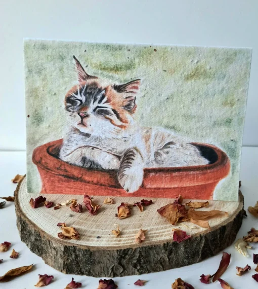 Plantable Wildflower Card - Cosy Cat