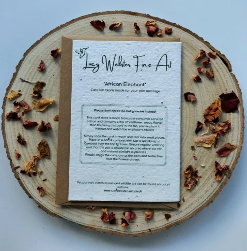 Plantable Wildflower Card - African Elephant