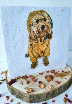 Plantable Wildflower Card - Ivy