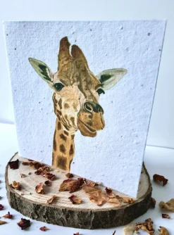 Plantable Wildflower Card - Giraffe