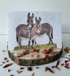 Plantable Wildflower Card - Donkey Duo