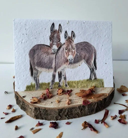 Plantable Wildflower Card - Donkey Duo