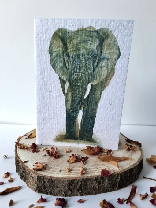 Plantable Wildflower Card - African Elephant