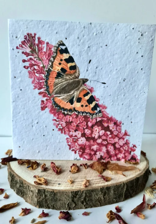 Plantable Wildflower Card - Butterfly Design
