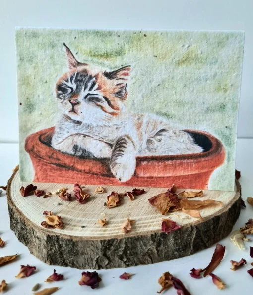 Plantable Wildflower Card - Cosy Cat