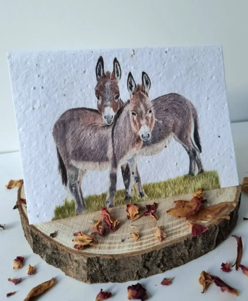 Plantable Wildflower Card - Donkey Duo