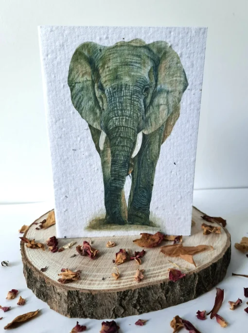 Plantable Wildflower Card - African Elephant