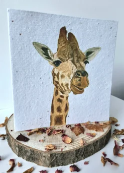 Plantable Wildflower Card - Giraffe