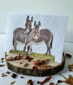 Plantable Wildflower Card - Donkey Duo