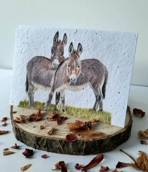 Plantable Wildflower Card - Donkey Duo