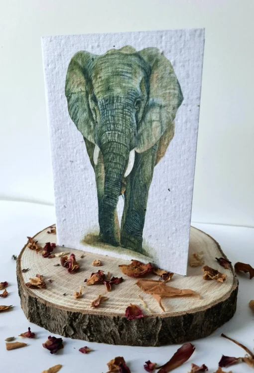 Plantable Wildflower Card - African Elephant