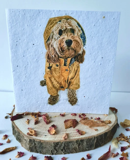 Plantable Wildflower Card - Ivy