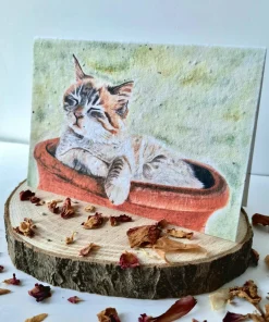 Plantable Wildflower Card - Cosy Cat