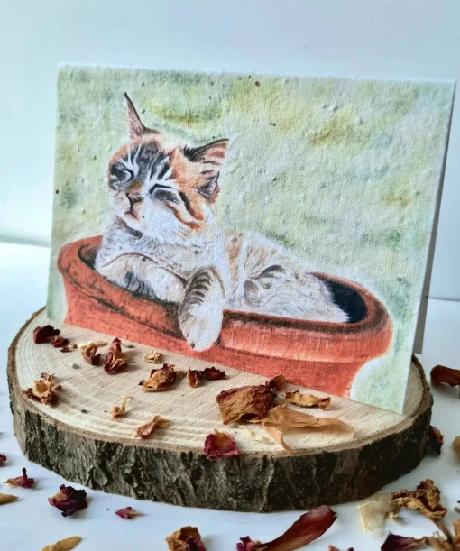 Plantable Wildflower Card - Cosy Cat