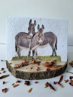 Plantable Wildflower Card - Donkey Duo