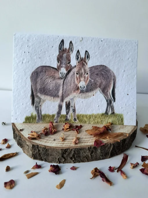 Plantable Wildflower Card - Donkey Duo