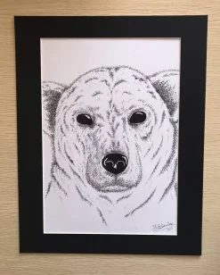 Polar Bear