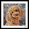 POODLE DOG COLOUR SPLASH FRAMED ARTWORK.