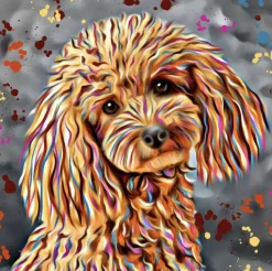 POODLE DOG COLOUR SPLASH FRAMED ARTWORK.