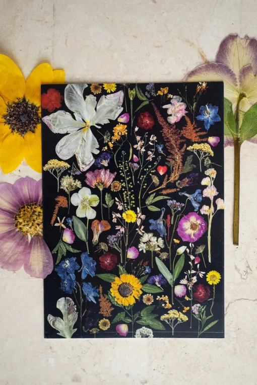 Pressed Flower Greetings Card