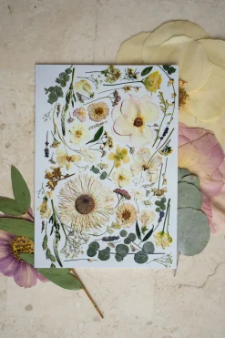 Pressed Flower Greetings Card