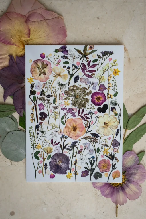 Pressed Flower Greetings Card