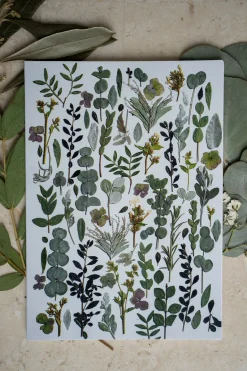 Pressed Flower Greetings Card