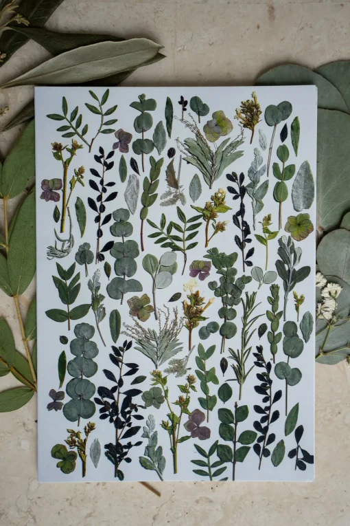 Pressed Flower Greetings Card