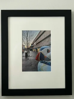 Puffin Freezing In Hull (27x33 frame)