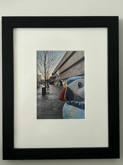 Puffin Freezing In Hull (27x33 frame)