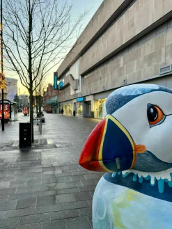 Puffin Freezing In Hull (27x33 frame)