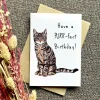 Purr-fect Birthday Greetings Card