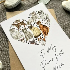 Purr-fect Mum Mother's Day Card