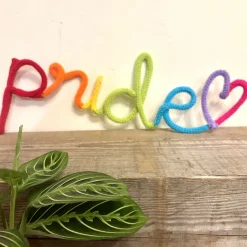 Rainbow Pride