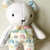 Rainbow Teddy
