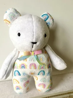 Rainbow Teddy