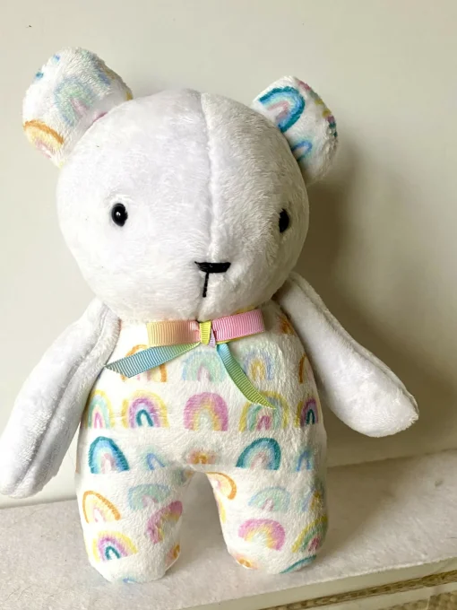 Rainbow Teddy