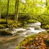 River Croe - A3 Framed