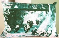 Road Racing Sheene's Rise Cushion