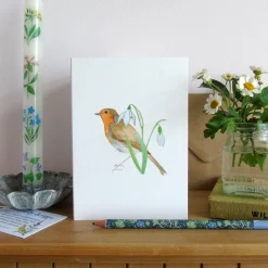Robin and Snowdrops Greetings Card