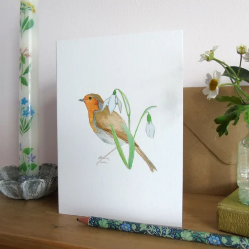 Robin and Snowdrops Greetings Card