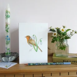 Robin and Snowdrops Greetings Card