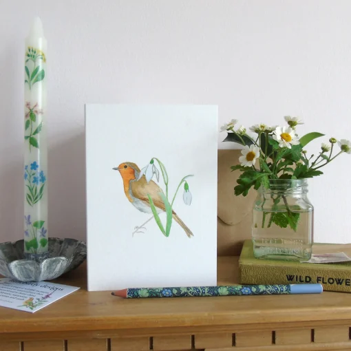 Robin and Snowdrops Greetings Card
