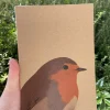 Robin Notebook