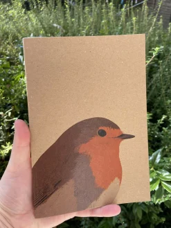Robin Notebook
