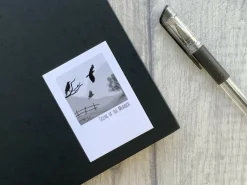 Scene of the Murder Crow Sticker