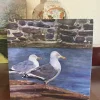 Seagulls Greetings Card
